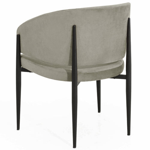 Scaun ALIOTH, Opțiuni culoare   