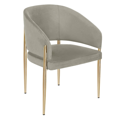 Scaun ALIOTH, Opțiuni culoare   