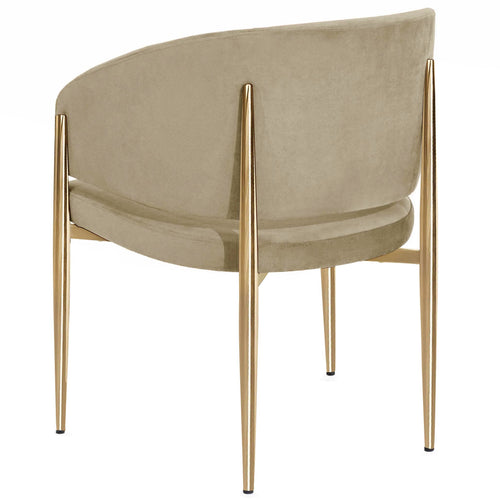 Scaun ALIOTH, Opțiuni culoare