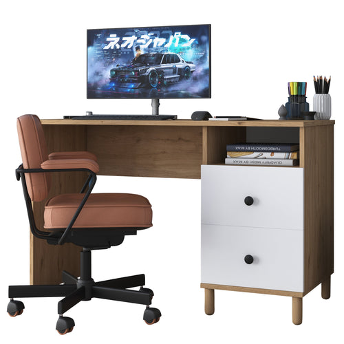 Birou VICTORIA 1 raft 2 sertare 120 x 50 cm, Opțiuni culoare