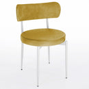 Scaun POLO, Opțiuni culoare