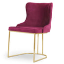 Scaun ELISA, Opţiuni culoare