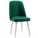 Scaun ASPEN-NV, Lemn masiv, Opțiuni culoare 