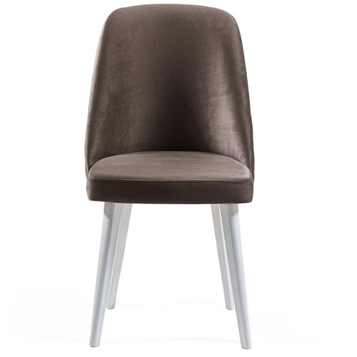 Scaun ASPEN-NV, Lemn masiv, Opțiuni culoare 