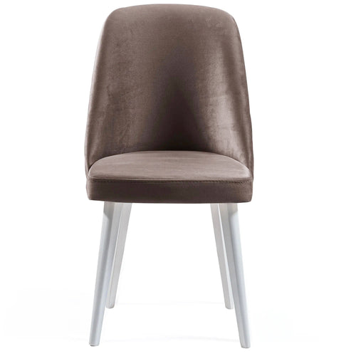 Scaun ASPEN-NV, Lemn masiv, Opțiuni culoare 