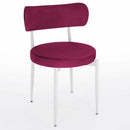 Scaun POLO, Opțiuni culoare