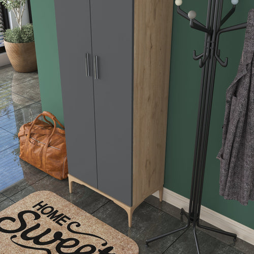 Pantofar ANGORA RF 2 uși 60 x 199 cm, Opțiuni culoare