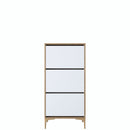 Pantofar ANGORA 3 uși 60 x 125 cm, Opțiuni culoare