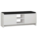 Banchetă cu depozitare ZION şi pernă pentru sezut 2 rafturi 2 uşi 110 cm, Opţiuni culoare