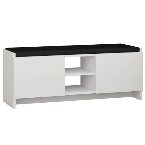 Banchetă cu depozitare ZION şi pernă pentru sezut 2 rafturi 2 uşi 110 cm, Opţiuni culoare