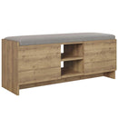 Banchetă cu depozitare ZION şi pernă pentru sezut 2 rafturi 2 uşi 110 cm, Opţiuni culoare