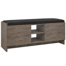 Banchetă cu depozitare ZION şi pernă pentru sezut 2 rafturi 2 uşi 110 cm, Opţiuni culoare