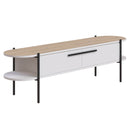 Comodă TV ARMIN 2 uși 160 cm, Opțiuni culoare