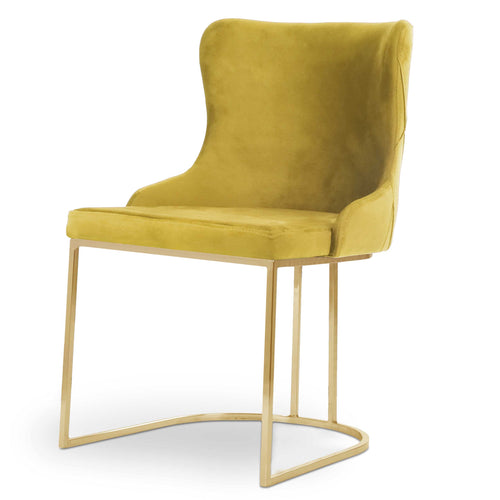 Scaun ELISA, Opţiuni culoare