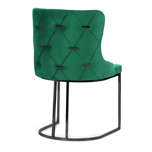 Scaun ELISA, Opţiuni culoare