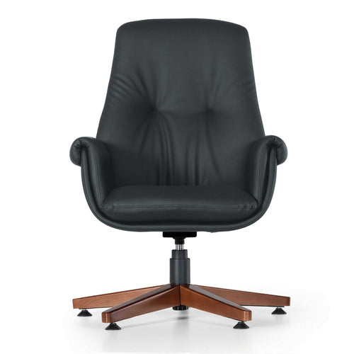 Scaun Consiliu SALDA 200 N, Opțiuni culoare