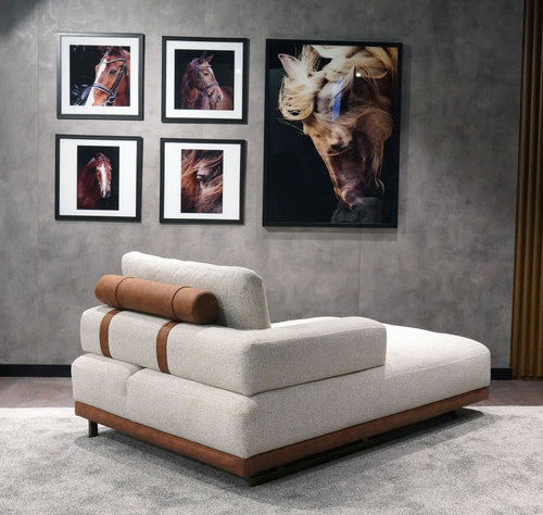 Modul şezlong ASTRA 180 x 115 cm, Opțiuni culoare