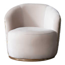 Fotoliu TOLEDO, Opțiuni culoare