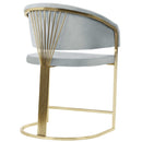 Scaun Bar ALLEGRA, Opţiuni culoare