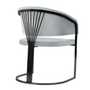 Scaun ALLEGRA, Opţiuni culoare