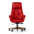 Scaun Directorial SALDA 000 N, Opțiuni culoare