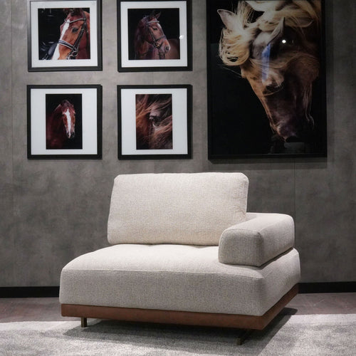 Modul 1 loc cu braț ASTRA, Opțiuni culoare