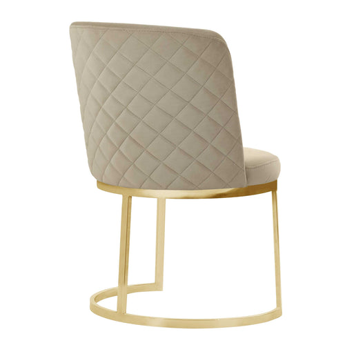 Scaun LUCCA, Opţiuni culoare