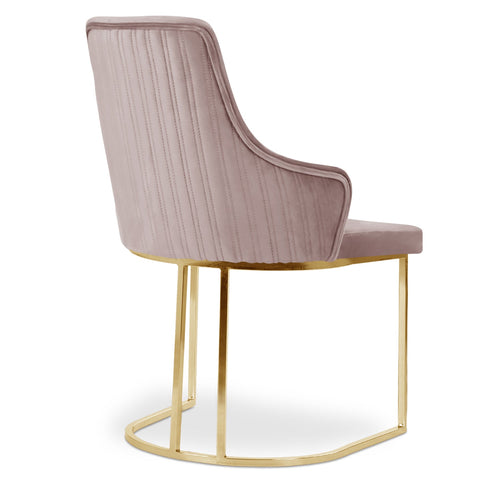 Scaun STEA, Opțiuni culoare