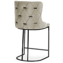 Scaun Bar ELISA, Opţiuni culoare 