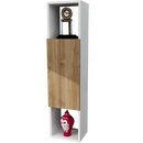 Dulap de perete JUSTIN 1 ușă, 2 rafturi 30 x 120 cm - Maroom