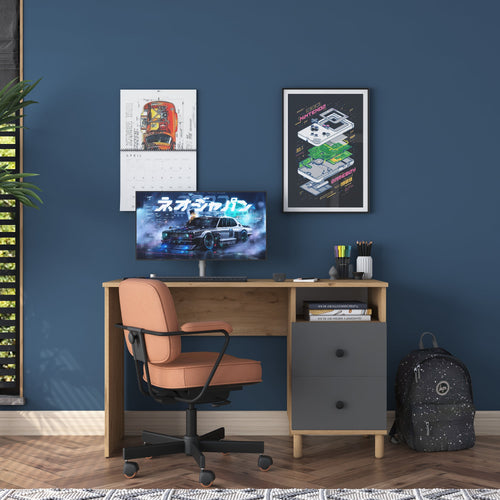 Birou VICTORIA 1 raft 2 sertare 120 x 50 cm, Opțiuni culoare