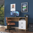 Birou VICTORIA 1 raft 2 sertare 120 x 50 cm, Opțiuni culoare