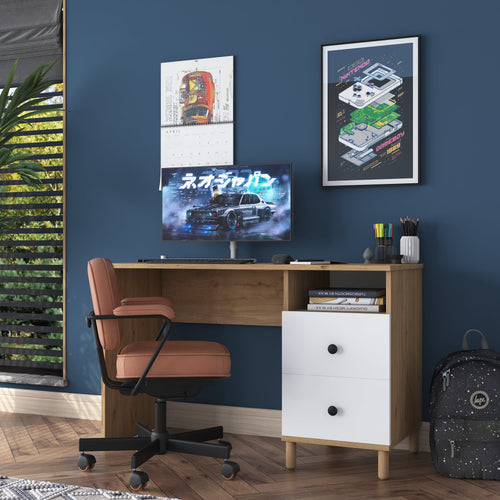 Birou VICTORIA 1 raft 2 sertare 120 x 50 cm, Opțiuni culoare