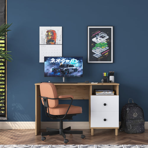 Birou VICTORIA 1 raft 2 sertare 120 x 50 cm, Opțiuni culoare