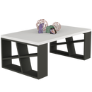 Măsuță cafea BROOKLYN 105 x 60 cm, Opțiuni culoare