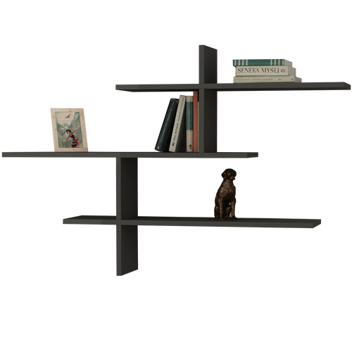 Raft de perete GRETEL 123 x 80 cm, Opțiuni culoare